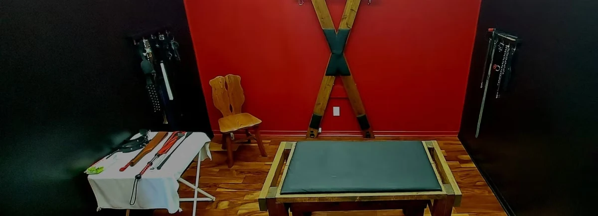 The Phoenix Ottawa - Swinger club in Ottawa