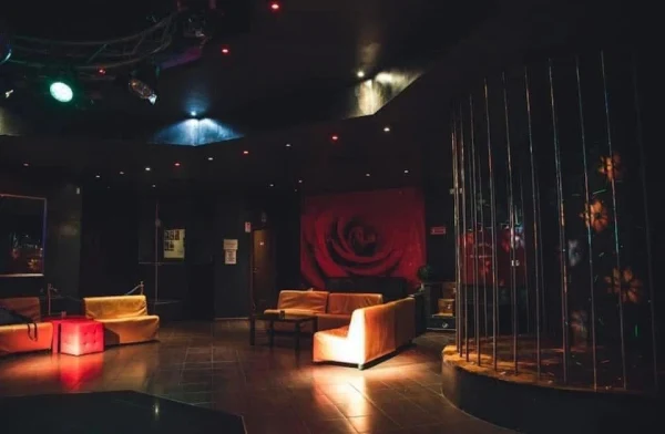 Swingers Couples Club experience