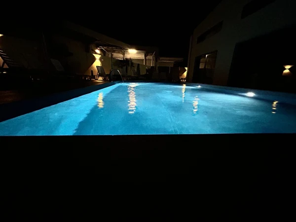 Swingers Couples Club atmosphere