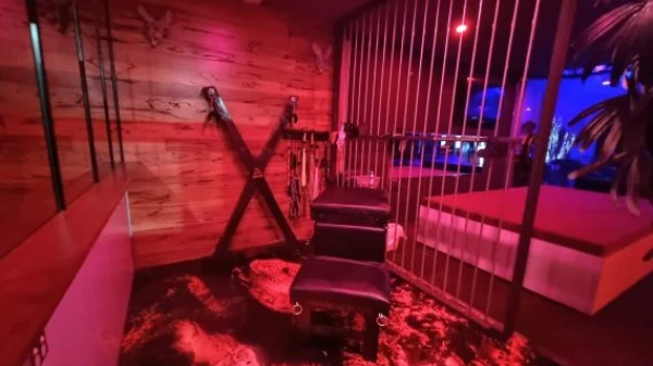 Discover Infusions Perth