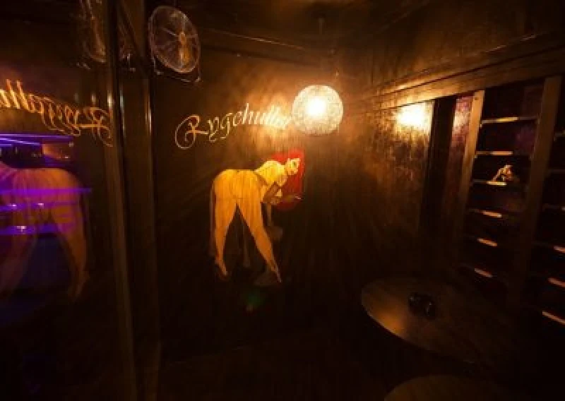 Swing Land - Interior view