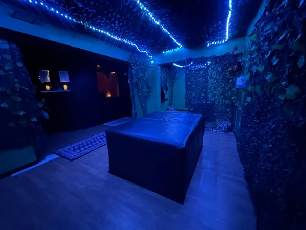Swing Land interior