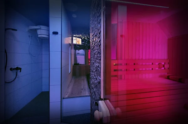 Inter Spa Swinger Bar in Bogota