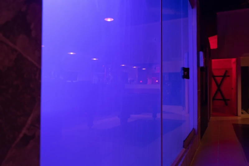 The Swinger Club - Interior view