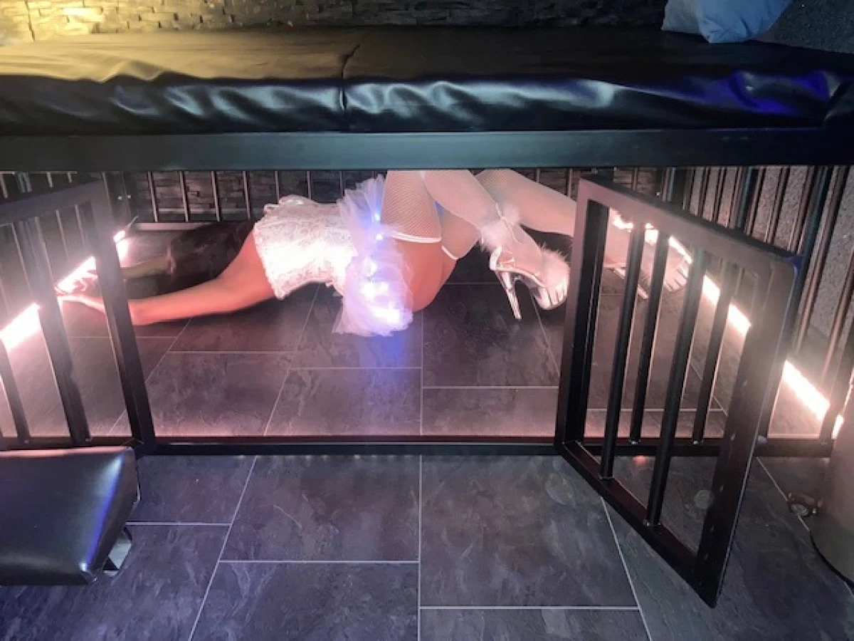 Swingerclub Traumpalais - Swinger club in Heidesheim am Rhein