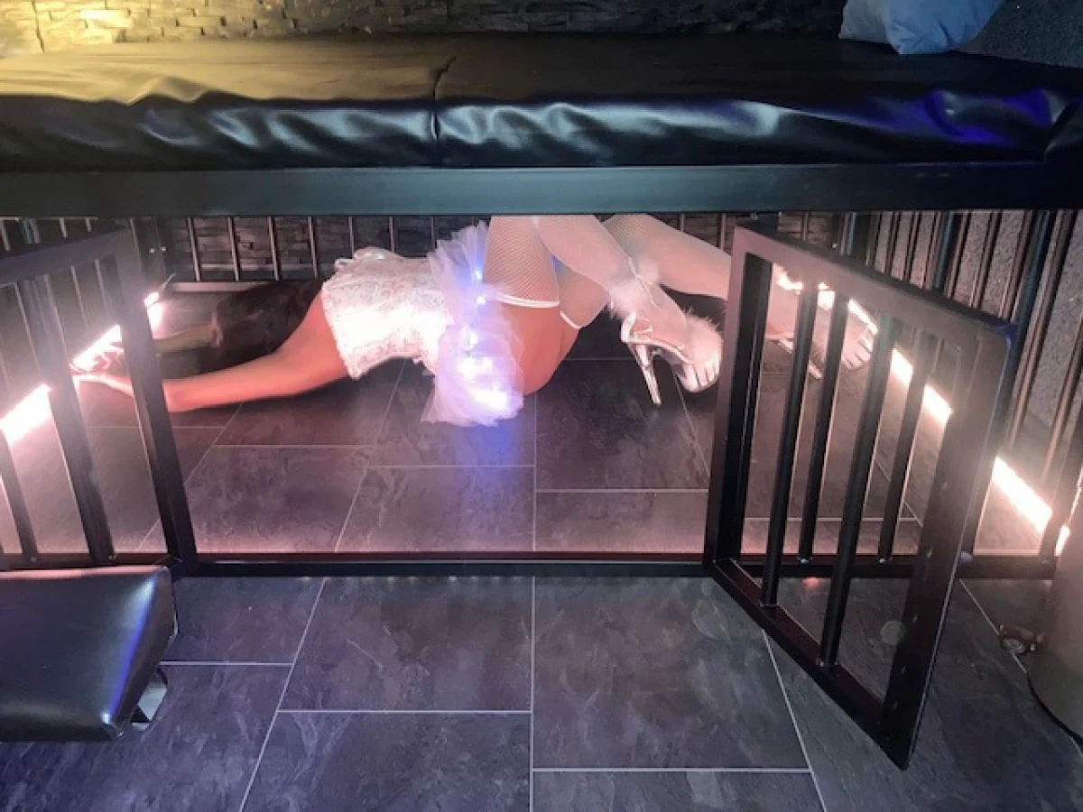 Swingerclub Traumpalais - Swinger club in Heidesheim am Rhein