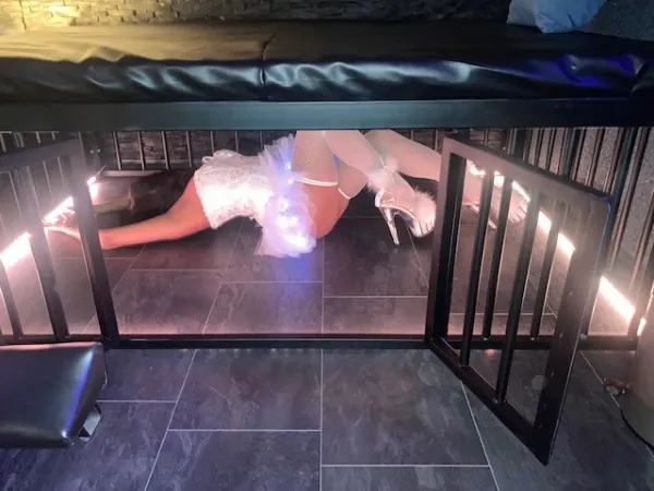 Swingerclub Traumpalais - Swinger club in Heidesheim am Rhein