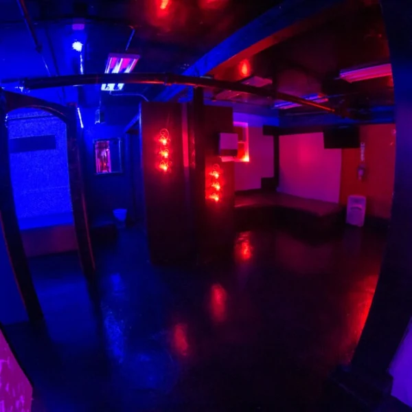 Gallery image - NYC Swinger Parties