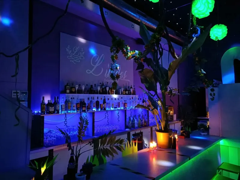 Libidos Swinger Club - Interior view