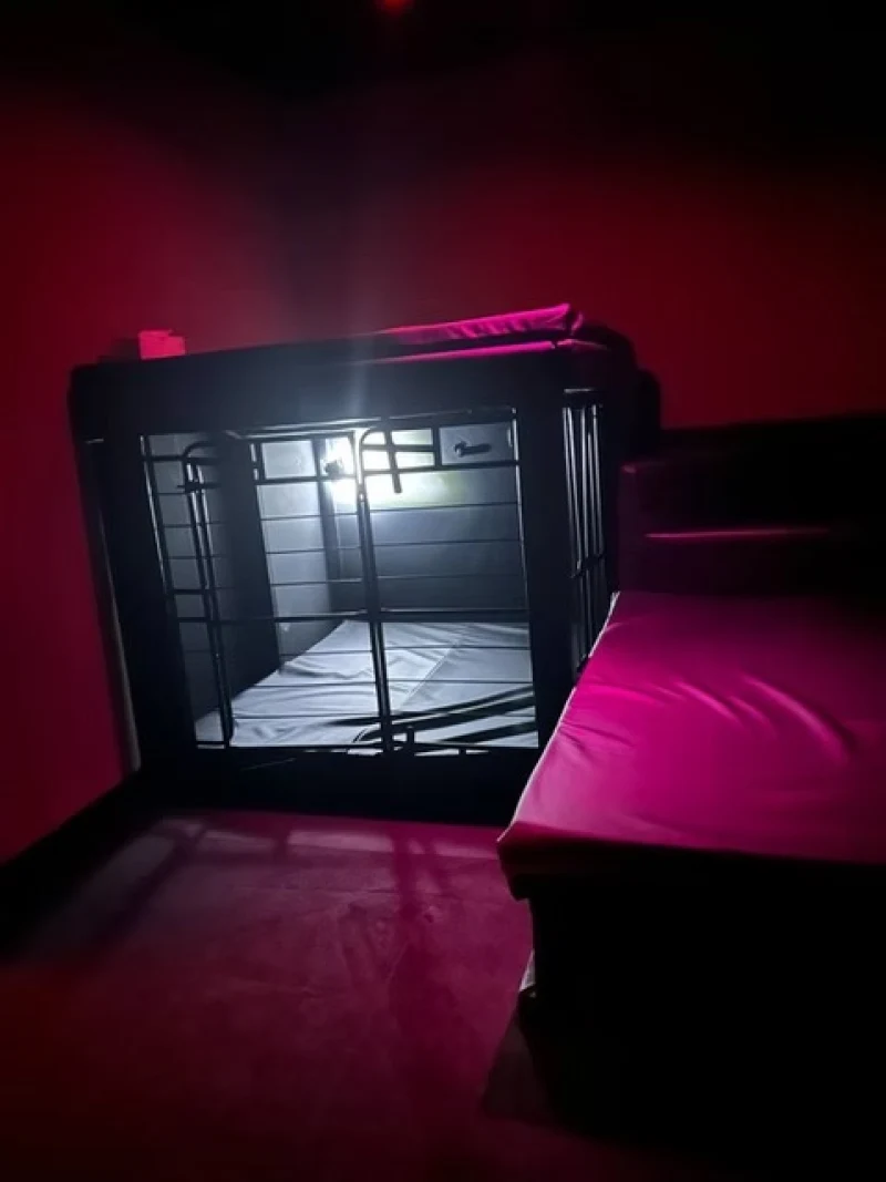 Inside Hedonia