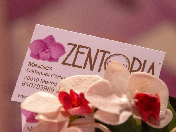 Gallery image - Zentopía