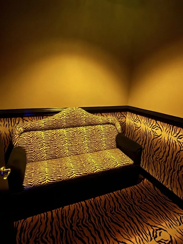 Cheetah Premier Gentlemen's Club of Raleigh experience