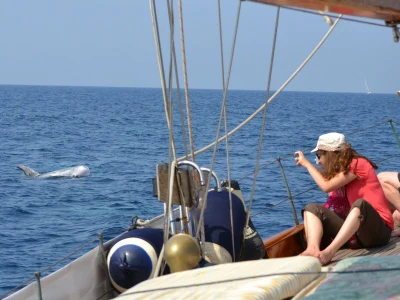 Oceanomare Delphis APS - Swinger Club in Rimini, Italy
