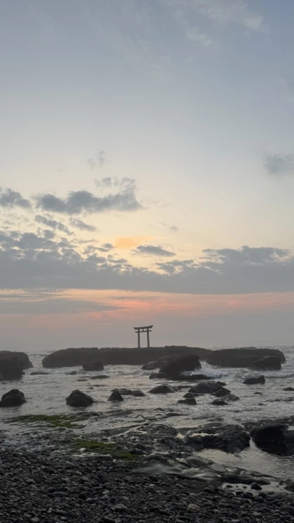 Explore Saitama Mrs. Aroma