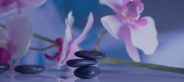 Gallery image - Amrita Day Spa