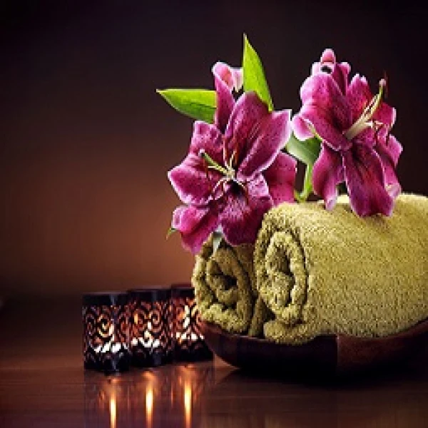 Amrita Day Spa experience