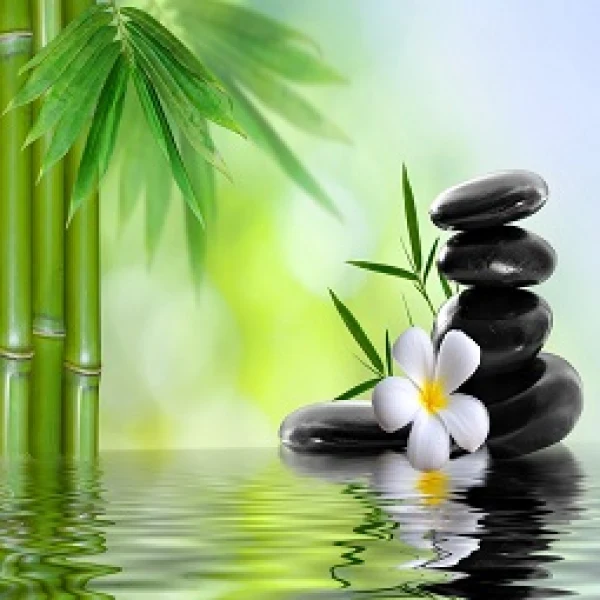 Amrita Day Spa atmosphere