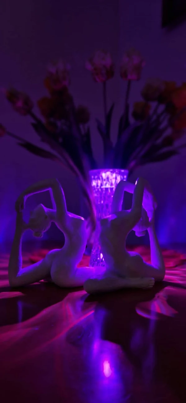 Velvet experience