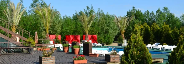 Discover Jacuzzi Club