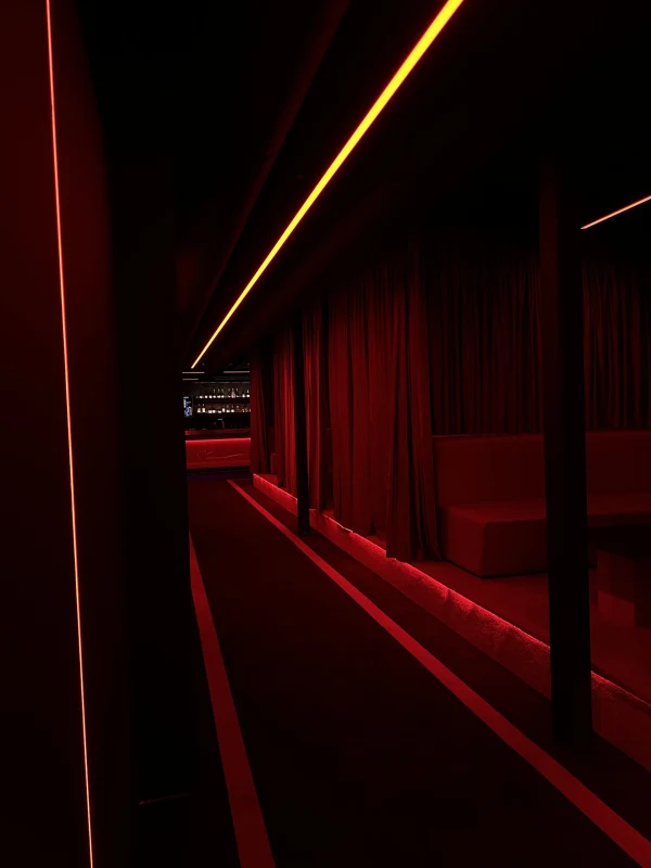 Red Line Club - Photo 21