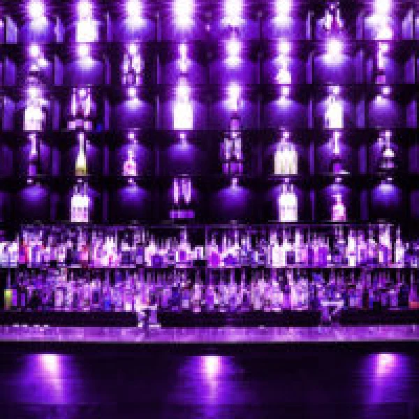 Discover Cheetah's Show Lounge