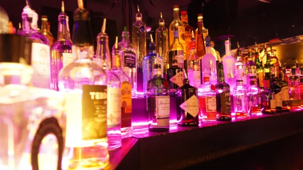 Bones Cabaret photo gallery