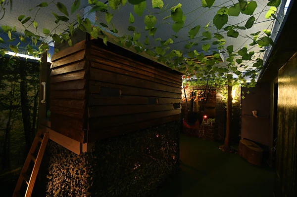 Gallery image - Swing Land
