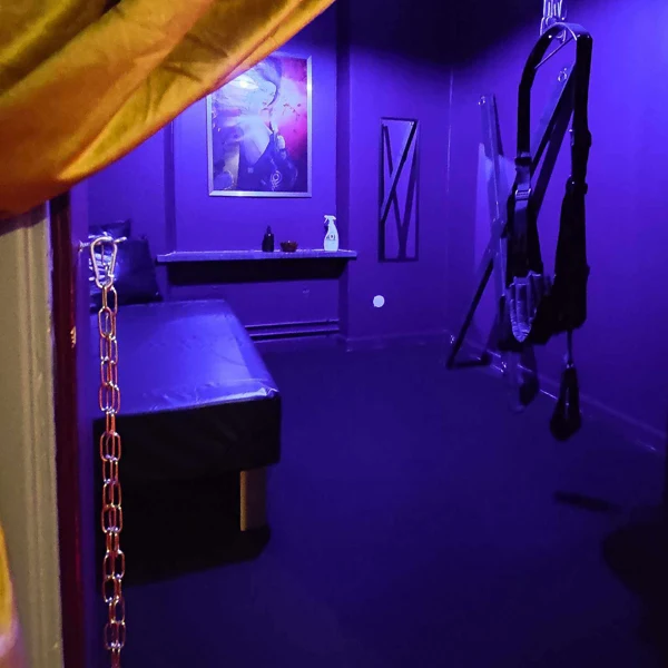 Gallery image - X Secret