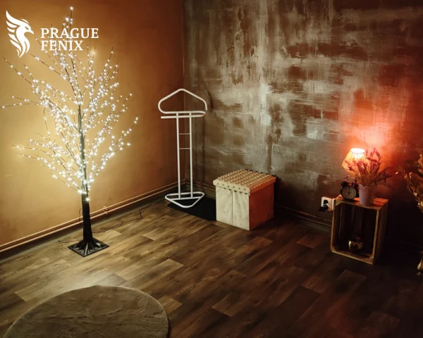 Erotic Massage Prague  Fenix - Photo 17