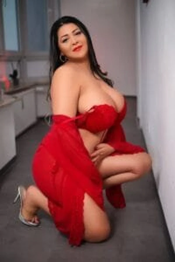 فضای Pams Lounge
