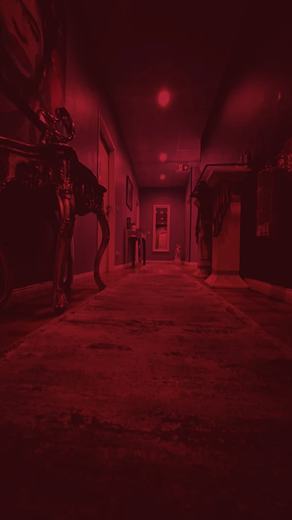 Velvet Massage Studio experience