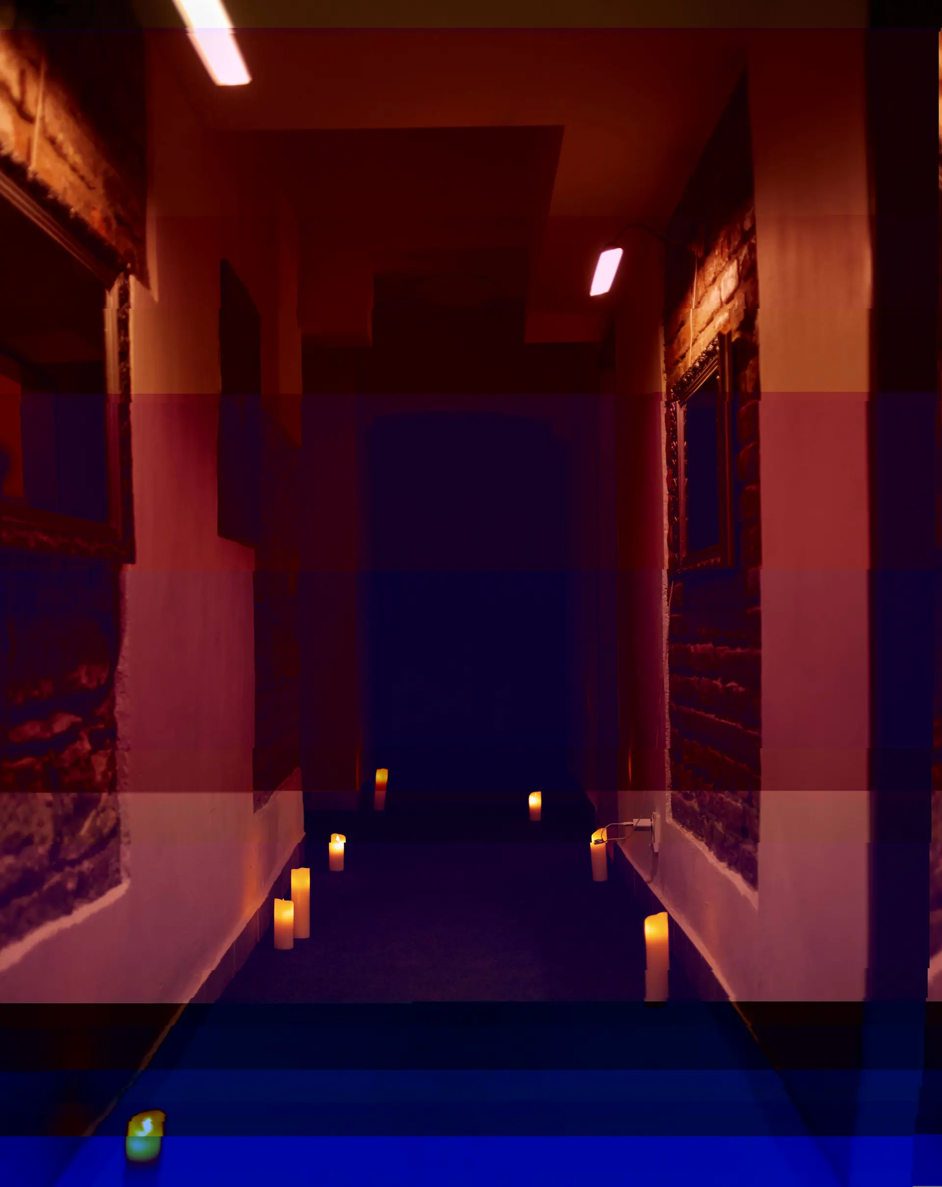 GIF Image