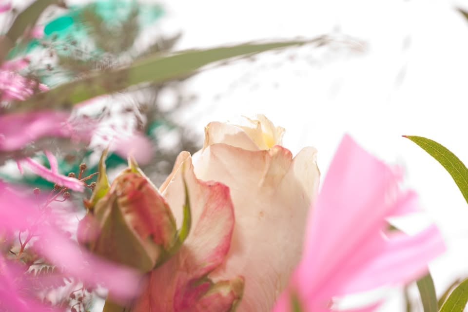 Tantra Massage Estrela – 4