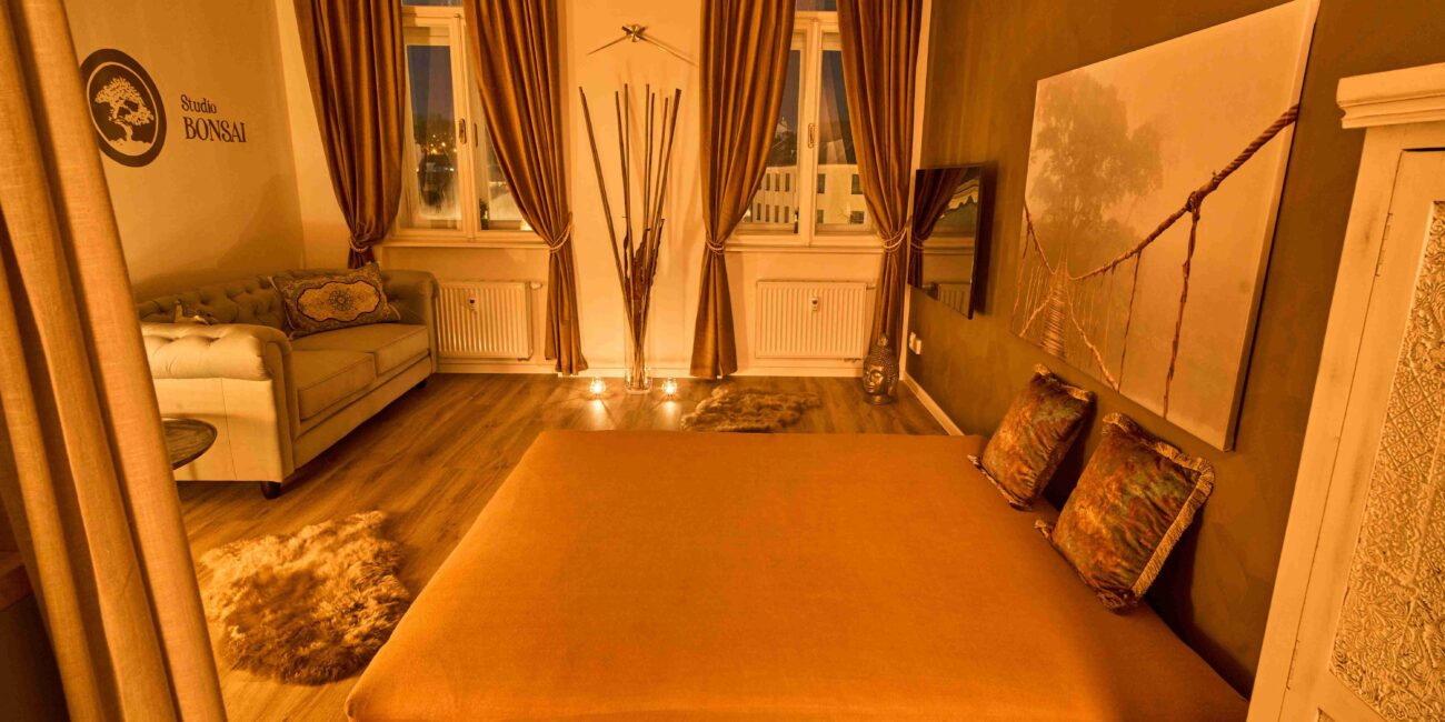 Bonsai Studio — erotic massage Brno