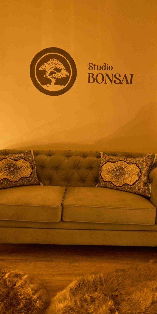 Bonsai Studio — erotic massage Brno