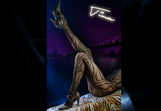 Discover TINA'S EROTIC MASSAGES