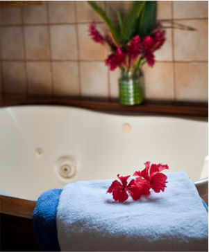 Spa Nest Bandra interior