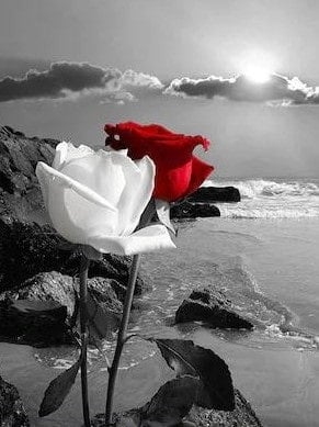 Euphoric Bodywork 66 - Tantra Massage in Dallas, United States - Photo 6