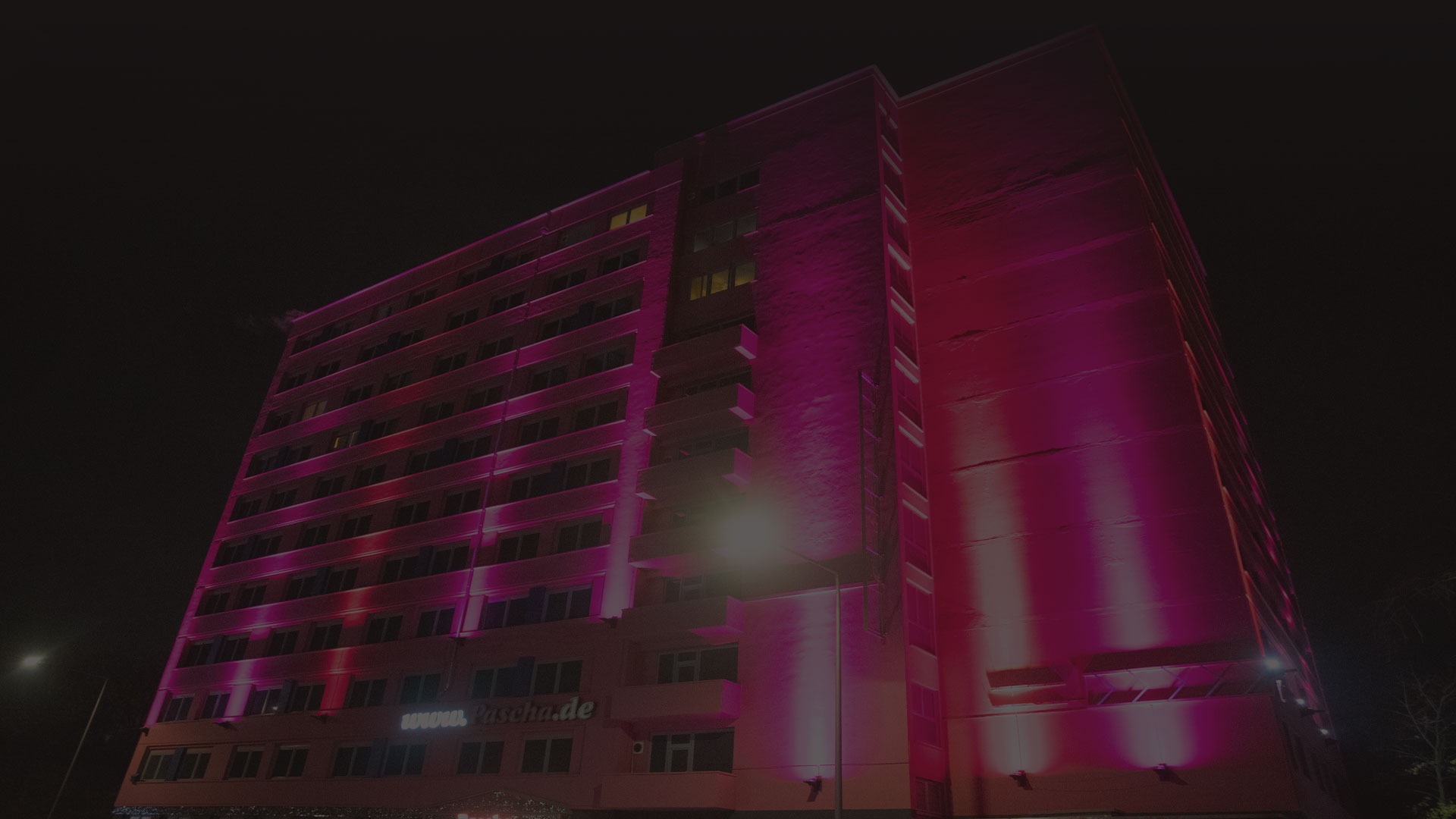 Pink Lady Barcelona – 4
