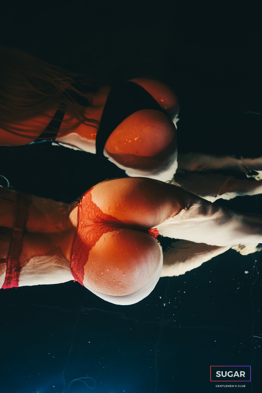 Bunny Bar – 3