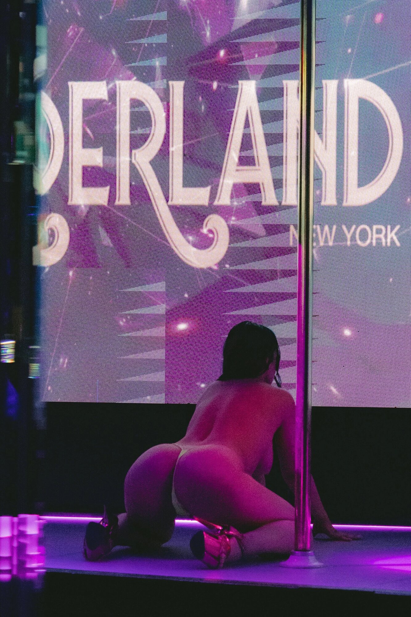 GIF Image