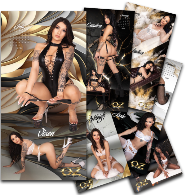 OZ Gentlemens Club - Erotic Massage in Cleveland, United States - Photo 8