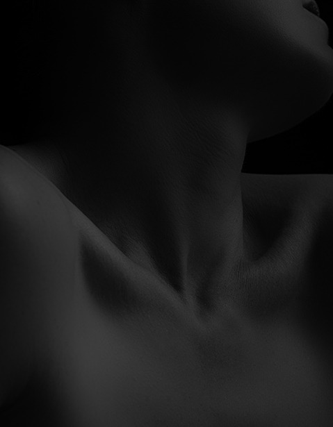 Melt Tampa Bay - Tantra Massage in Tampa, United States - Photo 2