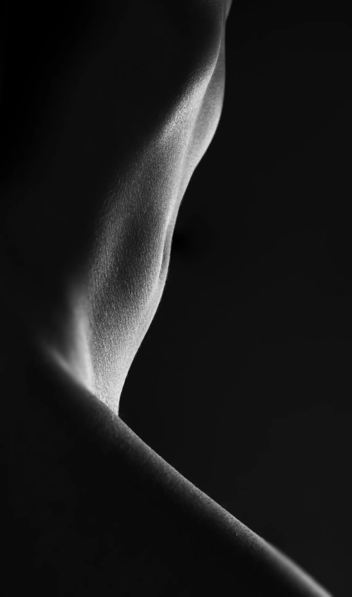 Dominium Vita - Lingam Massage in London, United Kingdom - Photo 5