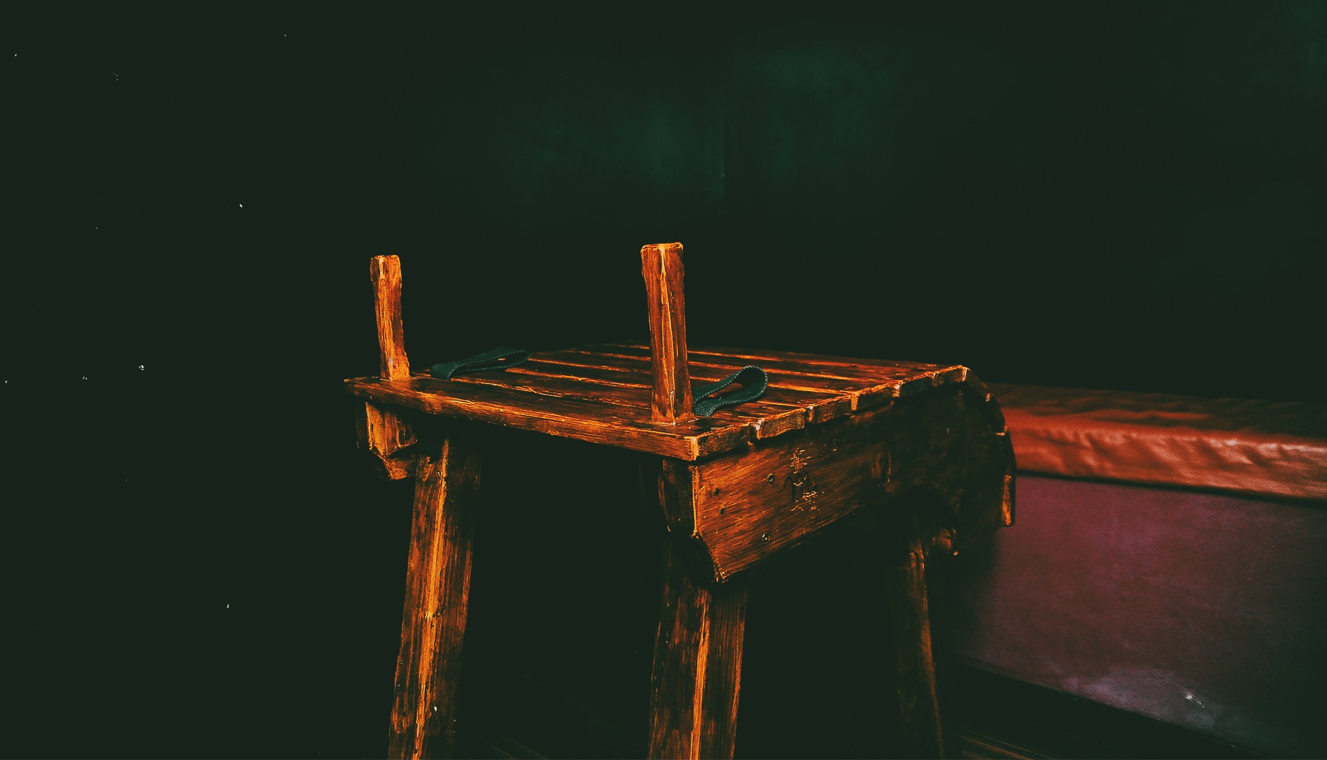 The New Gamer - Erotic Massage in Florence, Italy - Photo 2