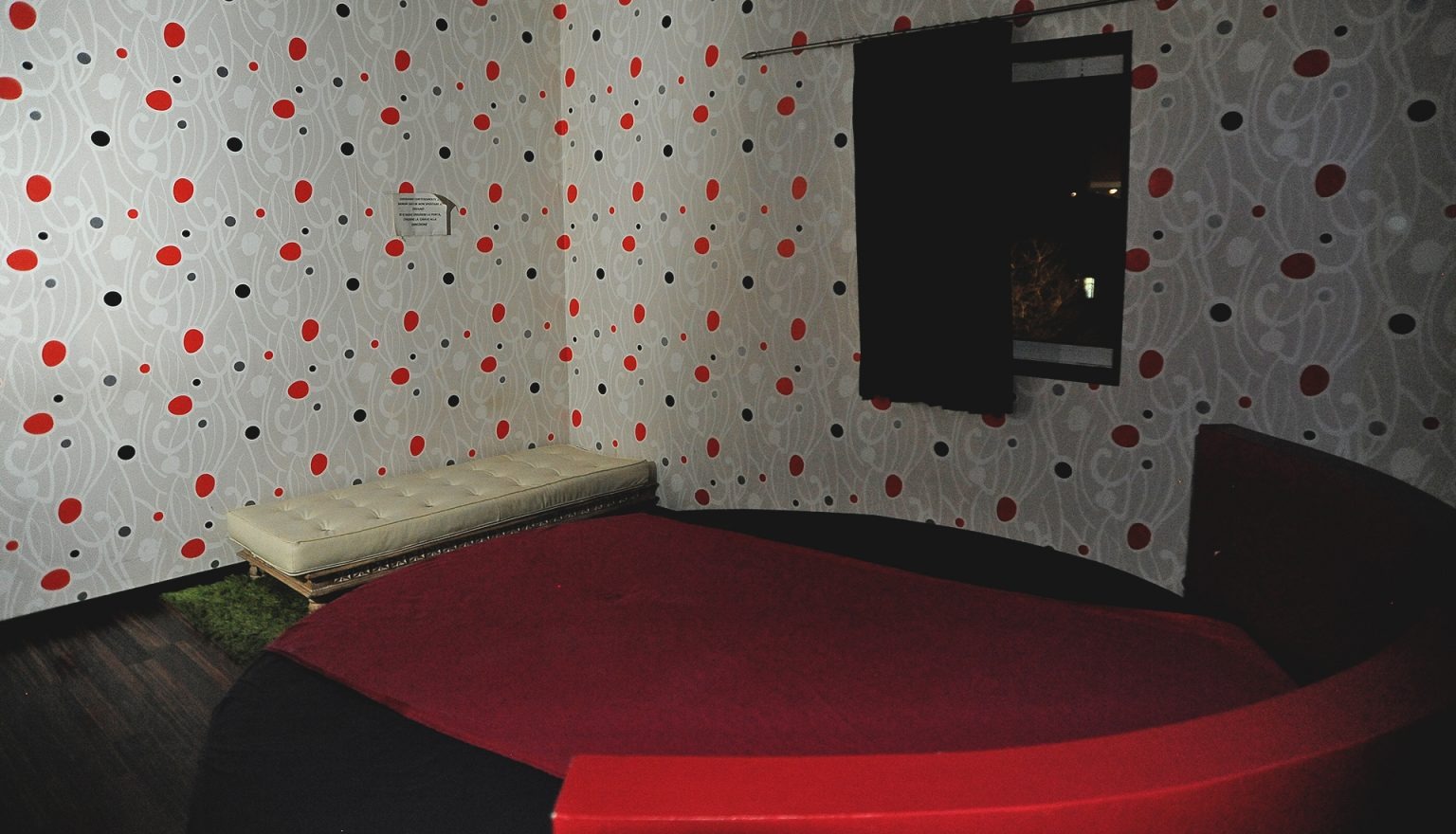 The New Gamer - Erotic Massage in Florence, Italy - Photo 9