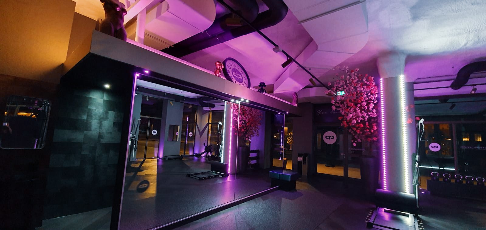 Next Level Lifestyle - erotic massage Rotterdam