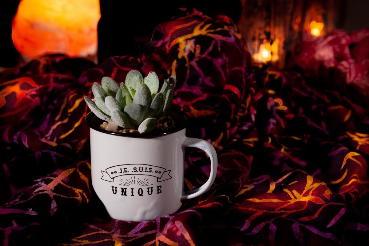 Tantra Tess Liège, Massage Érotique Liège