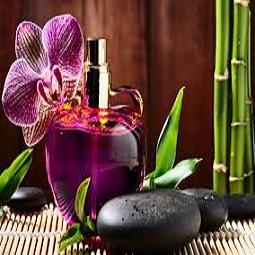 Erotic massage GIF — Amrita Day Spa