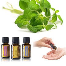 Fotografija erotske masaže | May Flower & Body Massage